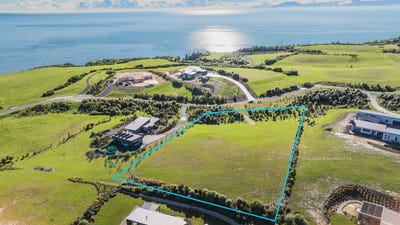/international/nz/14-te-papa-lane-tasman-nelson-bays-380066096518/