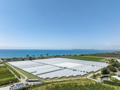 /international/nz/bay-view-napier-city-380066083036/