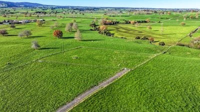/international/nz/tirau-tararua-380066121796/