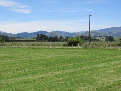 /international/nz/geraldine-timaru-380066116695/