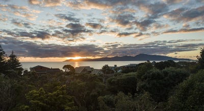 /international/nz/raumati-south-kapiti-coast-380066091890/