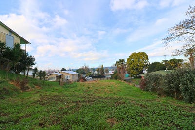 /international/nz/putaruru-south-waikato-380066101977/