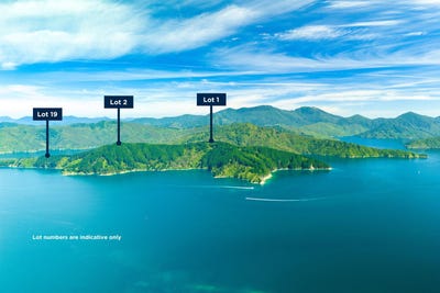 /international/nz/snake-point-queen-charlotte-sound-marlborough-380066082989/