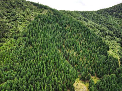 /international/nz/173-wakamarina-road-havelock-marlborough-380066184845/