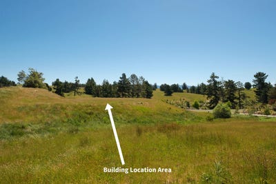 /international/nz/westmere-drive-tasman-tasman-380066121847/