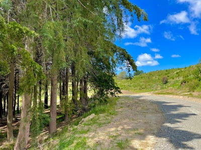 /international/nz/oamaru-waitaki-380066084505/