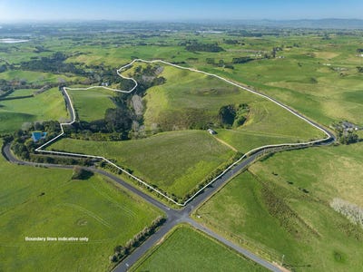 /international/nz/pollok-franklin-380066076198/