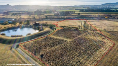 /international/nz/amberley-hurunui-380066081516/