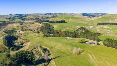 /international/nz/254-wilder-road-porangahau-central-hawkes-bay-380066106593/