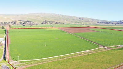 /international/nz/85-west-road-havelock-north-hastings-380066081507/