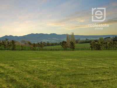 /international/nz/99-old-school-road-ngahinapouri-waipa-380066167760/