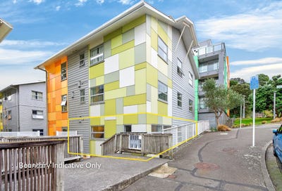 /international/nz/19-drummond-street-mount-cook-wellington-city-380066123139/