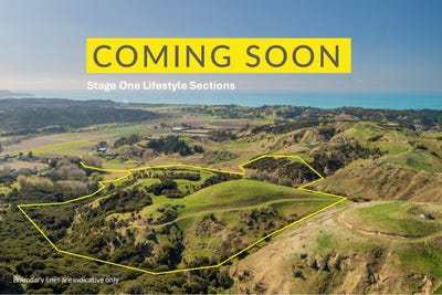 /international/nz/16-linden-close-eskdale-hastings-380066104077/
