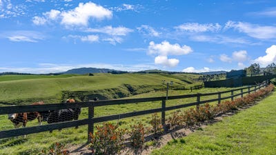 /international/nz/195-mound-road-amberley-hurunui-380066118055/