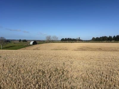 /international/nz/lot-3-adair-road-fairview-hamilton-city-380066113799/