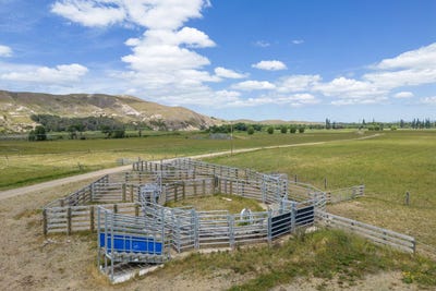 /international/nz/566-pourerere-road-waipawa-central-hawkes-bay-380066086594/
