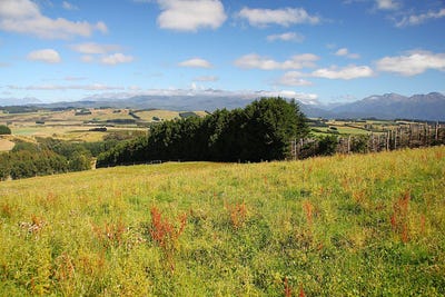 /international/nz/112-ridgedale-road-te-anau-southland-380066083317/