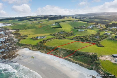 /international/nz/taieri-mouth-clutha-380066085473/