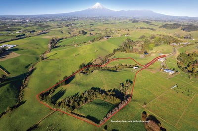 /international/nz/tarurutangi-new-plymouth-380066108756/