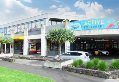 /international/nz/55-sainsbury-road-mount-albert-auckland-city-380066129256/