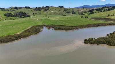 /international/nz/444-wharekawa-road-rawene-far-north-380066086855/