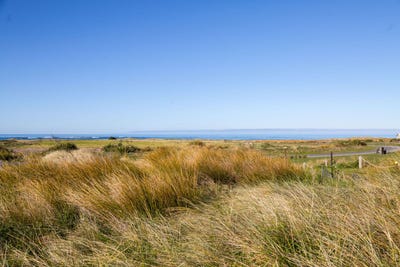 /international/nz/8-beach-road-te-wharau-carterton-380066093196/