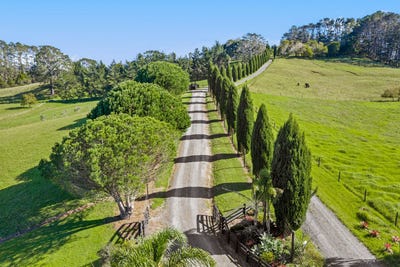 /international/nz/184-monarch-downs-way-matakana-rodney-380066111028/