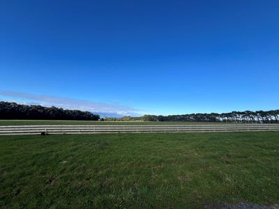 /international/nz/featherston-south-wairarapa-380066102296/