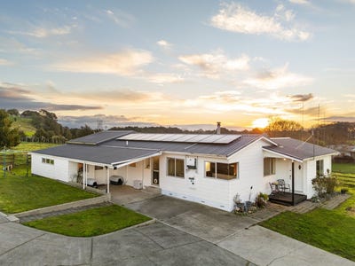 /international/nz/morrinsville-matamata-piako-380066086237/