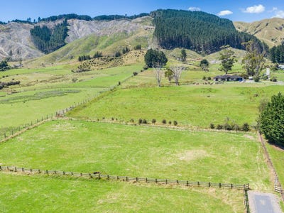 /international/nz/51-gladstone-road-levin-horowhenua-380066099100/