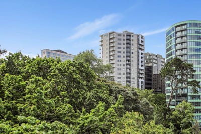 /international/nz/6-st-martins-lane-grafton-auckland-city-380066110537/