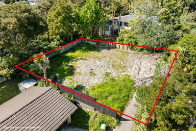 /international/nz/48-reynella-drive-massey-waitakere-city-380066110762/