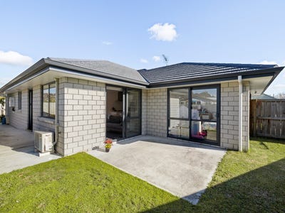 /international/nz/20-alanbrooke-place-beerescourt-hamilton-city-380066096999/