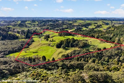 /international/nz/kumeu-rodney-380066115151/