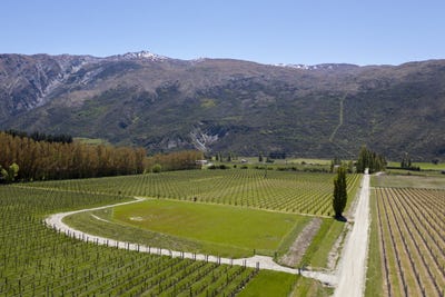 /international/nz/gibbston-queenstown-380066101812/
