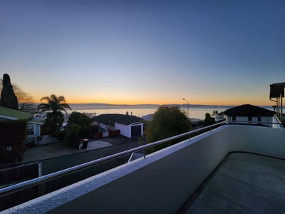/international/nz/17-roslyn-road-napier-hill-napier-city-380066110478/
