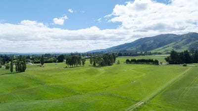 /international/nz/lot-4-cahill-road-tapanui-clutha-380066081381/