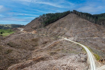 /international/nz/lots-2-3-4-dp-9115-motu-road-matawai-gisborne-380066085111/