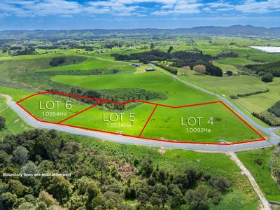 /international/nz/clevedon-manukau-city-380066087158/