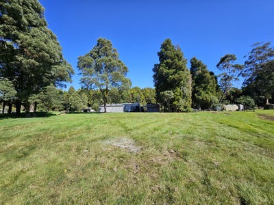 /international/nz/marsden-grey-380066108259/