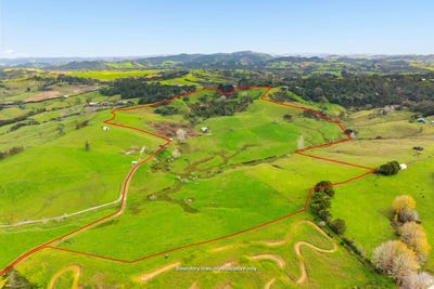 /international/nz/462-kahikatea-flat-road-waitoki-rodney-380066076949/