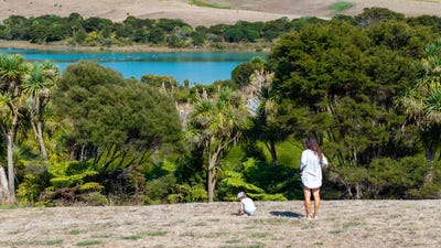 /international/nz/9-waipatukahu-lane-raglan-waikato-380066097159/