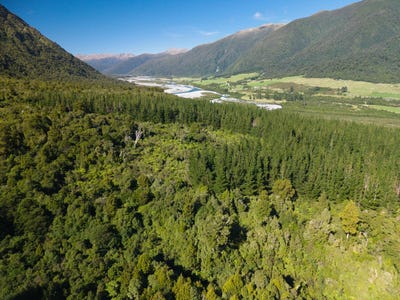 /international/nz/moana-lake-brunner-grey-380066080359/