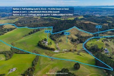 /international/nz/1676-ponga-road-hunua-franklin-380066105588/