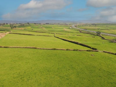 /international/nz/horsham-downs-waikato-380066098388/