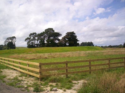 /international/nz/7-latha-grove-woodville-tararua-380066091518/