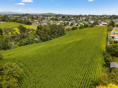 /international/nz/6-seales-road-morrinsville-matamata-piako-380066115273/