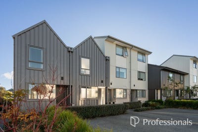 /international/nz/te-ara-o-te-amo-hohipene-petone-wellington-380066104705/