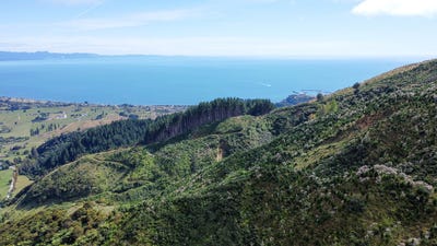 /international/nz/0-bird-road-takaka-tasman-380066083461/