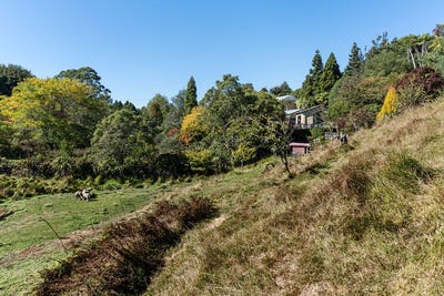 /international/nz/highlands-park-new-plymouth-380066097348/